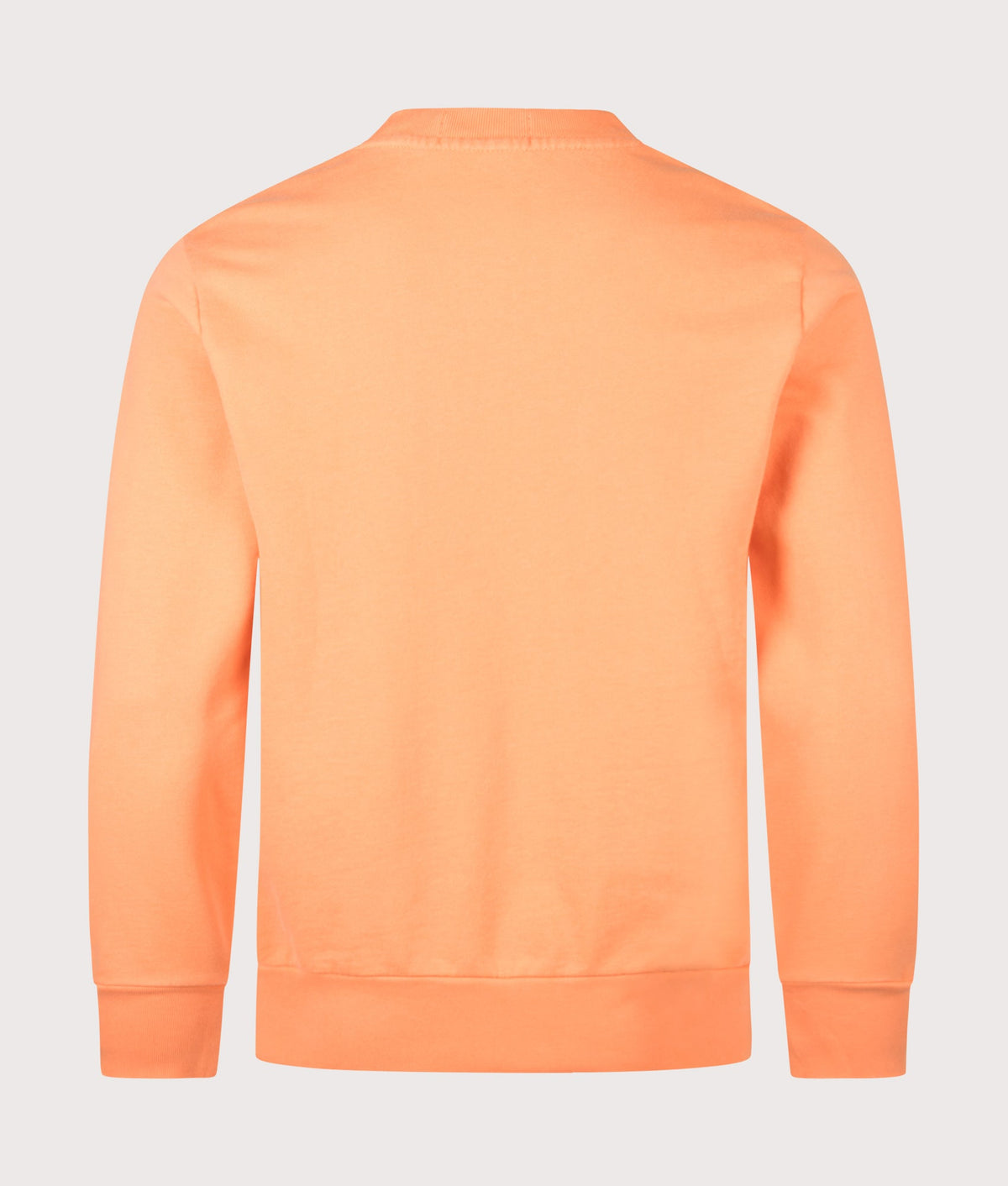 Regular Fit Loopback Terry Sweatshirt